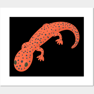 Red Lizard Posters and Art